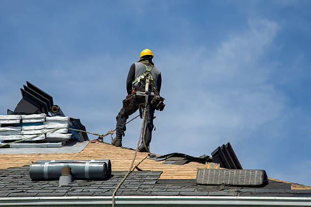 Professional Roof Replacement technician working in Wacissa, FL